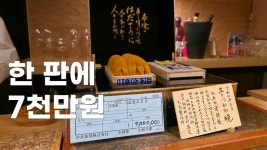 네이버 인플루언서 [네이버 인플루언서] 우니(성게) 천국