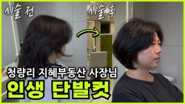 네이버 인플루언서 [네이버 인플루언서] 동대문구 청량리 #지혜부동산 사장님 인생 #단발컷 👏👍💚