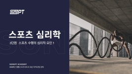 네이버 인플루언서 [네이버 인플루언서] 성피티의 생활체육지도자2급필기 스포츠심리학 3-1단원 스포츠 수행의 심리적 요인 #성피티... 
