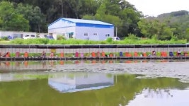 당골낚시터 전경(2014.8.28) - YouTube 당골낚시터 전경(2014.8.28)