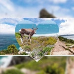 Spectrum Travel & Tour Agency - YouTube Spectrum Travel & Tour Agency 