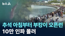 부산 북항 상어 부캉이 아침부터 오픈런 10만 넘어 - 중도보수 마이너 갤러리