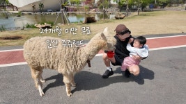 네이버 인플루언서 [네이버 인플루언서] 24개월 미만 무료! 아기랑 가볼만한곳 일산 쥬쥬랜드 