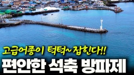 네이버 인플루언서 [네이버 인플루언서] 낚시는 이 방파제가 최고였어요!!  (박선비tv, 제주 마지막편)