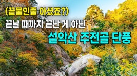 [네이버 인플루언서] 설악산 단풍... 아직 끝나지 않았습니다. 주전골 트레킹 코스(오색약수터~용소폭포) 정보와 10/29 단풍상황 알려 드립니다.
