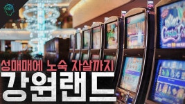 강원랜드가 정선에 있었구나~~ - 토토 갤러리