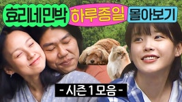효리네 민박 시즌1 몰아보기(8시간) - 아이유 갤러리