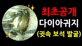 다이아귀지 - 노래연습 마이너 갤러리