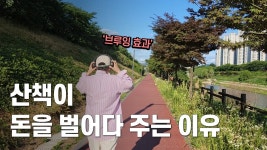 네이버 인플루언서 [네이버 인플루언서] 심리학에 따르면, 산책이 돈을 벌어다 주는 이유가 있어요