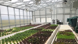  Horticulture Agricultural Sciences The Commercial Greenhouse Science & Math kopa.or.kr
