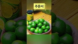 현이네감귤농장 - YouTube
