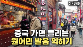 네이버 인플루언서 [네이버 인플루언서] [4k] 중국 가면 들리는 원어민 중국어 회화ㅣ东北 핵심 도시 선양 걸으며🚶‍♀️🚶‍♂️