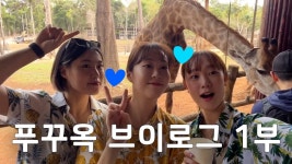 [황밍키] 밍키 하경 윤우 푸꾸옥 브이로그 - IBK기업은행배구단 마이너 갤러리