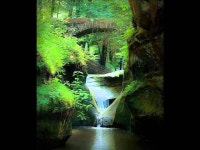 Waking Dreams - Llewellyn | Shazam Waking Dreams - Llewellyn