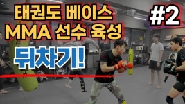 태권도 베이스 mma선수 육성 프로젝트 - 실전태권도 마이너 갤러리