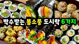네이버 인플루언서 [네이버 인플루언서] 🍱안보면 후회하는 간단하고 맛있는 봄소풍 도시락 6가지