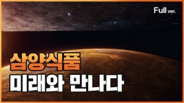 듣기평가중ㅡ삼양라운드스퀘어 광고 Shape of Heart / 존박 해석 - 존박 갤러리