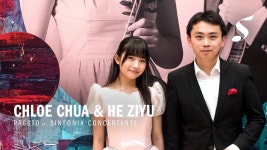 이 줄 뭔지 아는사람? - 바이올린 마이너 갤러리