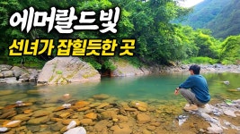 네이버 인플루언서 [네이버 인플루언서] 강원도 정선여행중 선녀가 튀어 나올거 같은 맑고 깊은 계곡에는 무엇이 살까?