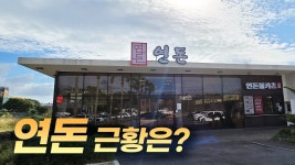 네이버 인플루언서 [네이버 인플루언서] 국내에서 가장 유명한 돈까스집 연돈의 근황은 어떨까?
