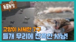 들개들의 응징 영상 - 안티캣맘 미니 갤러리
