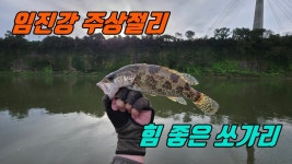 이번주는 낚시도 못가고 영상이나 뽑아왔다 - 루어낚시 마이너 갤러리