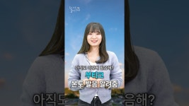 네이버 인플루언서 [네이버 인플루언서] 부티크?ㄴㄴ프랑스 본토 발음 알려줌 #프랑스어공부 #프랑스어기초