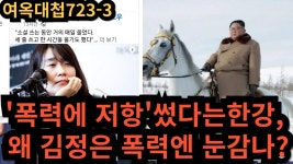 정사갤 여신 전여옥 전라도 출신 극좌익 한강에 일침 - 정치, 사회 갤러리