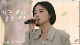 HYNN박혜원 - 시든 꽃에 물을 주듯 - 평화누리 피크닉 페스티벌 - HYNN(박혜원) 마이너 갤러리