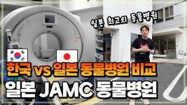 네이버 인플루언서 [네이버 인플루언서] 미용비가 50반원? 한국과 일본의 동물병원 비교. 도쿄 JAMC동물병원 방문기