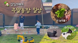 네이버 인플루언서 [네이버 인플루언서] (Vlog) 삼남매를 위한 시골 주말농장 언박싱 ! 🏡 (남편의 바베큐 로망도 ..) / 첫 농작물🥬  / 냥이가족... 