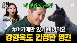 훈련을 즐기는 명견에 강형욱도 감탄 | #개와늑대의시간2 21회 - YouTube [#클립배송] 문제견인 줄 알았는데... 훈련을 즐기는 명견에... 