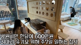 어제 이거보고 충격먹음 - 애니-일본 갤러리