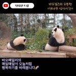 닥터진 트립👨⚕️Dr. Jin Trip - YouTube 닥터진 트립👨‍⚕️Dr. Jin Trip