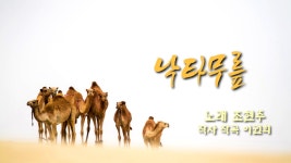 거룩한 낙타의 무릎 , 찬송가에 낙타 나오면 거룩함 - 우울증 갤러리