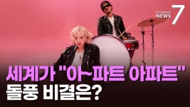 241026 APT 관련 뉴스 보도 - 로제 마이너 갤러리