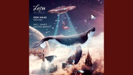 20 - 21 - Den - Haas: 노래 가사, 뮤직 비디오 및 콘서트