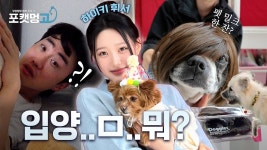 [EP.03] 포.캣.멍GO(휘서 출연) - 엘즈업 마이너 갤러리