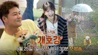 250512 <집 나가면 개호강> 1차 티저 레이 - 레이 마이너 갤러리
