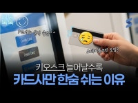 내 카드 내역에 ‘나이스페이먼츠’가 찍히는 이유