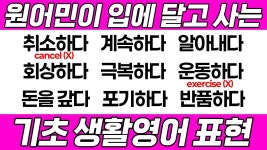 네이버 인플루언서 [네이버 인플루언서] [영어회화] 나이 불문하고 필수로 알아야 하는 왕기초 영어 표현 20가지｜4탄