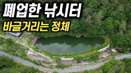 네이버 인플루언서 [네이버 인플루언서] 폐업한 낚시터 둑이 터진 후… 바글거리는 의외의 녀석들