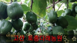 고산  토종다래농장 실습 동영상 | Doovi 고산  토종다래농장 실습 동영상