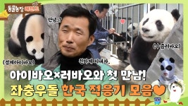 판다기지에서의 러바오.아이바오 - 기타 국내 드라마 갤러리