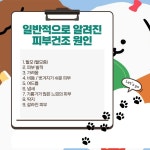본펫동물병원 - YouTube