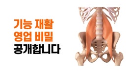 재갤러 근육기능검사 해설 1 - 재활 마이너 갤러리