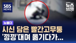 의붓아들이 20년간 길러준 어머니 살해 - 치킨 갤러리