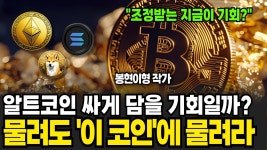 네이버 인플루언서 [네이버 인플루언서] 알트코인 싸게 담을 기회일까? 물려도 이 코인에 물려라 (봉현이형 / 2부)