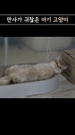 토끼아지 너굴랑이 - YouTube