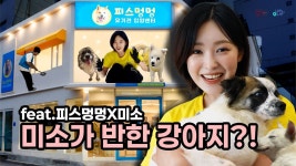 ㄷ 미소 유기견 봉사 동영상 떴다 - 아이돌리즘 마이너 갤러리